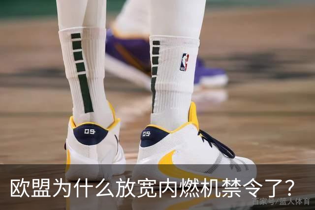 欧盟为什么放宽内燃机禁令了？